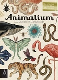 Cover: Animalium - Big Picture Press