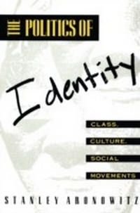Enlarge image Cover: The Politics of Identity - Routledge