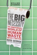 Cover: Big Necessity - Picador USA