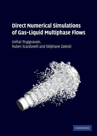 Enlarge image Cover: Direct Numerical Simulations of Gas-Liquid Multiphase Flows - Cambridge University Press