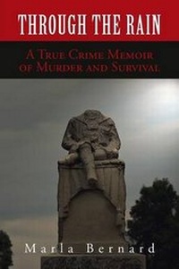 Enlarge image Cover: Through the Rain - AUTHORHOUSE