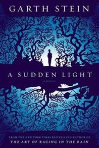 Enlarge image Cover: A Sudden Light - Simon & Schuster