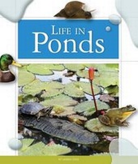 Enlarge image Cover: Life in Ponds - Child's World
