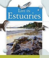 Enlarge image Cover: Life in Estuaries - Child's World