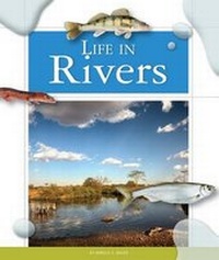 Enlarge image Cover: Life in Rivers - Child's World