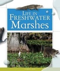 Cover: Life in Freshwater Marshes - Child's World