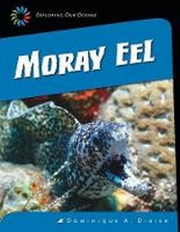 Enlarge image Cover: Moray Eel - Cherry Lake Publishing
