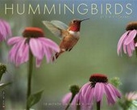 Enlarge image Cover: Hummingbirds 18-Month Calendar - Willow Creek Press