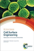 Cover: Nanofabrication and its Application in Renewable Energy - Royal Society of Chemistry