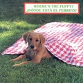 Cover: Where's the Puppy?/Donde Esta El Perrito? - Star Bright Books