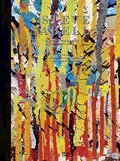 Cover: Steve Sabella - Hatje Cantz Verlag