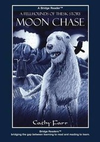 Enlarge image Cover: Moon Chase - Bite Publishing