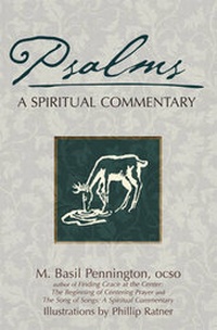 Enlarge image Cover: The Psalms - SkyLight Paths Publishing,US