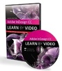 Cover: Adobe InDesign CC - Peachpit Press Publications