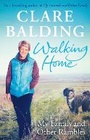 Cover: Walking Home - Viking
