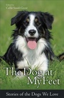 Bild: Dog at My Feet, The - Revell, a division of Baker Publishing Group