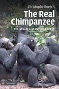 Cover: The Real Chimpanzee - Cambridge University Press