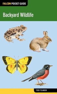 Enlarge image Cover: Backyard Wildlife - Falcon Guides