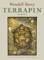 Cover: Terrapin - Counterpoint