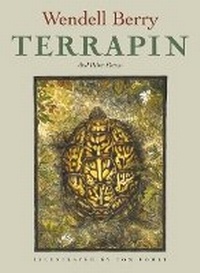 Enlarge image Cover: Terrapin - Counterpoint
