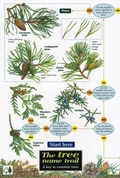 Cover: Tree Name Trail - Field Studies Council