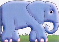 Enlarge image Cover: Elephant - Autumn Publishing Ltd