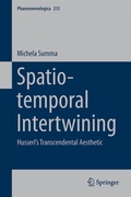 Cover: Spatio-temporal Intertwining - Springer