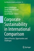 Cover: Corporate Sustainability in International Comparison - Springer