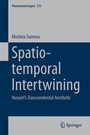 Cover: Spatio-temporal Intertwining - Springer