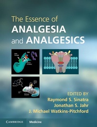 Abbildung von: The Essence of Analgesia and Analgesics - Cambridge University Press
