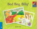 Cover: Cambridge Storybooks Multipack Level 2 Paperback Set (18) with Teacher's Book and Audio CD Polish edition - Cambridge University Press