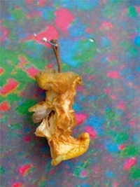 Enlarge image Cover: Works 2013 - 2007 - Revolver Publishing