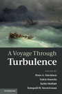 Cover: A Voyage Through Turbulence - Cambridge University Press