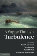 Cover: A Voyage Through Turbulence - Cambridge University Press