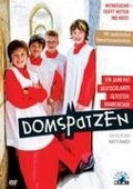 Cover: Domspatzen - Ein Jahr mit Deutschlands &auml;ltestem Knabenchor - Ascot Elite