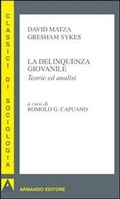 Cover: La delinquenza giovanile. Teorie ed analisi - I classici della sociologia;Armando Editore