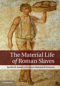 Abbildung von: The Material Life of Roman Slaves - Cambridge University Press
