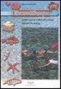 Cover: Lambertini, M: Elba sott'acqua. Guida ai pesci e altra vita - Uomonatura;Pacini Editore