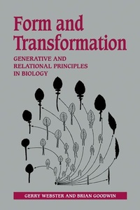 Enlarge image Cover: Form and Transformation - Cambridge University Press