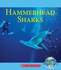 Cover: Hammerhead Sharks - C. Press/F. Watts Trade