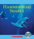 Cover: Hammerhead Sharks - C. Press/F. Watts Trade