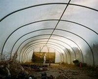 Enlarge image Cover: Running Wild - Norfolk Museums Service
