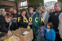 Enlarge image Cover: Flock - Artist Photo Books