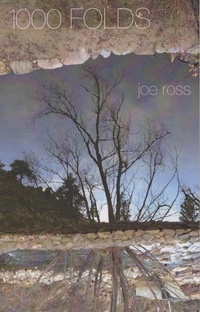Enlarge image Cover: 1000 Folds - Chax Press