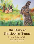 Cover: The Story of Christopher Bunny - Author Solutions