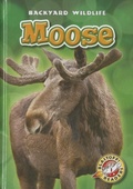 Cover: Moose - Blastoff! Readers