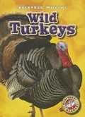 Cover: Wild Turkeys - Blastoff! Readers
