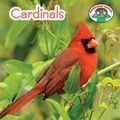 Cover: Cardinals - Cavendish Square Publishing