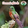 Cover: Hummingbirds - Cavendish Square Publishing
