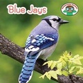 Cover: Blue Jays - Cavendish Square Publishing